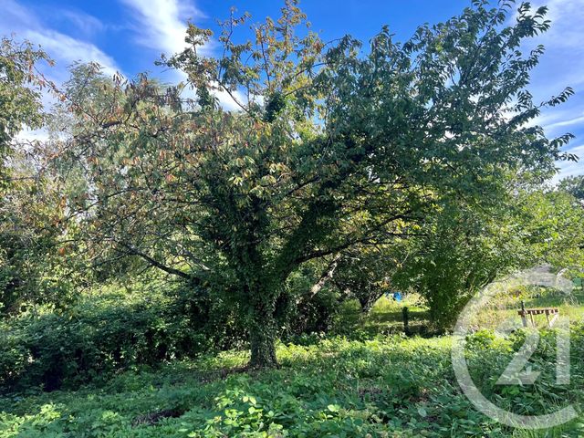 maison à vendre - 6 pièces - 128.8 m2 - SCIEZ - 74 - RHONE-ALPES - Century 21 Agence Du Lac