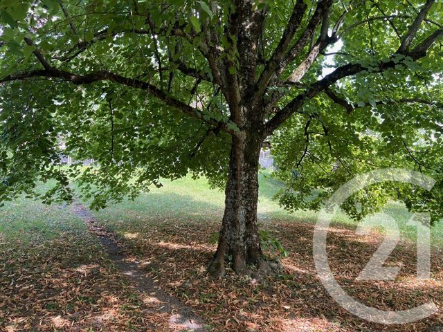 maison à vendre - 5 pièces - 175.0 m2 - LOISIN - 74 - RHONE-ALPES - Century 21 Agence Du Lac