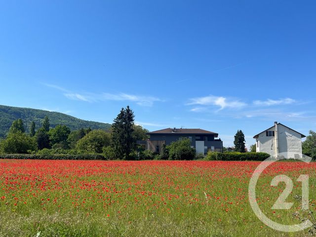 Appartement T3 à vendre - 3 pièces - 89.06 m2 - SCIEZ - 74 - RHONE-ALPES - Century 21 Agence Du Lac