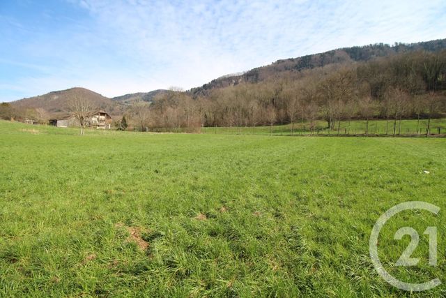 terrain à vendre - 801.0 m2 - CERVENS - 74 - RHONE-ALPES - Century 21 Agence Du Lac